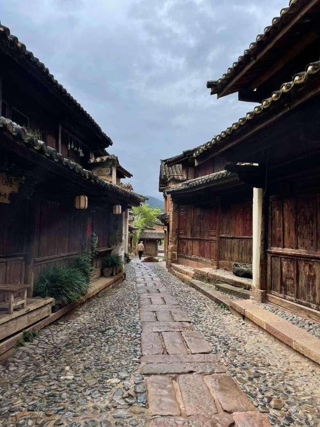 逃离神秘之林